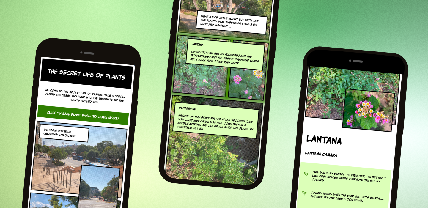 project preview